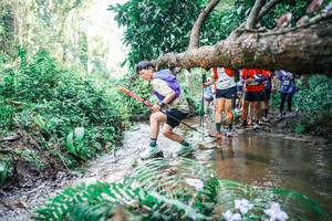 BIB: 
                            <button type="button" onclick="openModal(25476135)" class="btn btn-primary btn-sm float-right btn-popup" data-toggle="modal" data-target=".modal-high-quality">
                        <i class="fas fa-shopping-cart"></i> Add to Cart
                    </button>
                                            <button type="button" onclick="isThisMe(25476135, true)" class="btn btn-success btn-sm float-right btn-popup btn-isme hidden" data-toggle="tooltip" data-placement="bottom" title="นี่คือรูปของคุณใช่ไหม คลิกที่นี่เพื่อเอาเข้าอัลบั้ม">
                        <i class="fas fa-plus"></i> Add to album
                    </button>
                    <button type="button" onclick="isThisMe(25476135, false)" class="btn btn-warning btn-sm float-right btn-popup btn-isnotme hidden">
                        <i class="fas fa-ban"></i> Remove from album
                    </button>